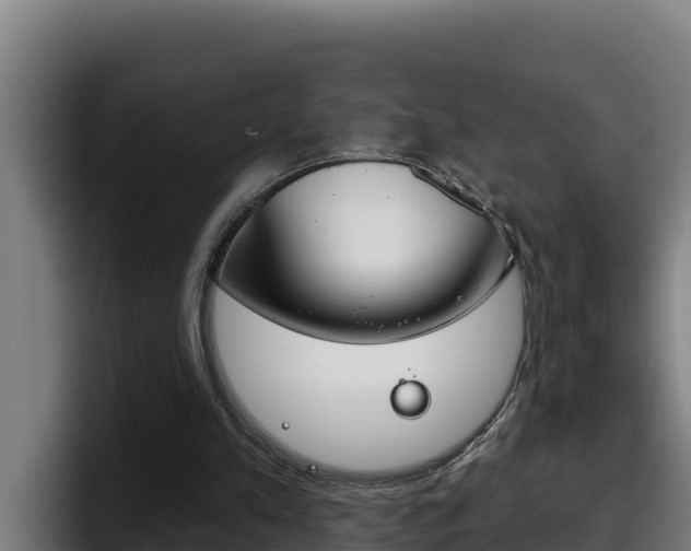 X0000098140197200804171128