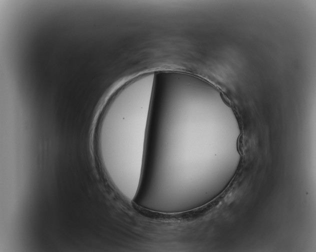 X0000098140200200804171127