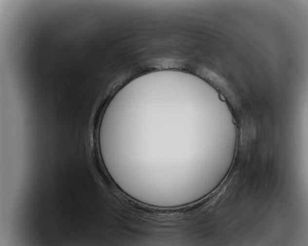 X0000098140202200804171127