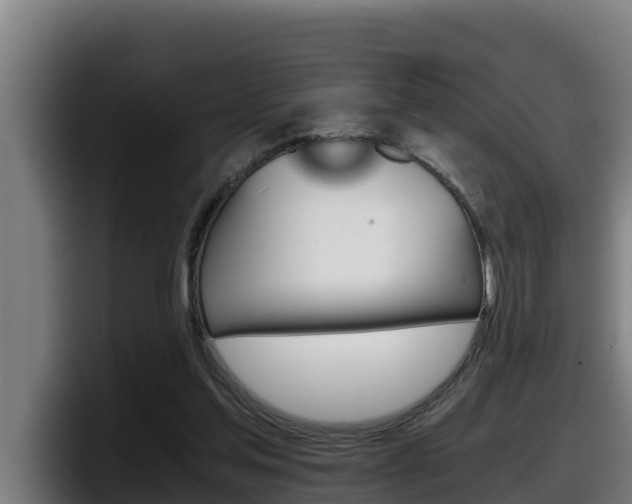 X0000098140205200804171127