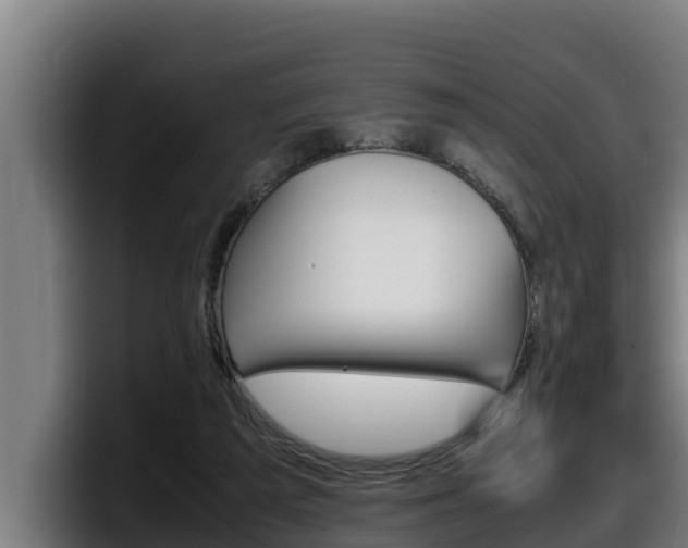 X0000098140209200804171127