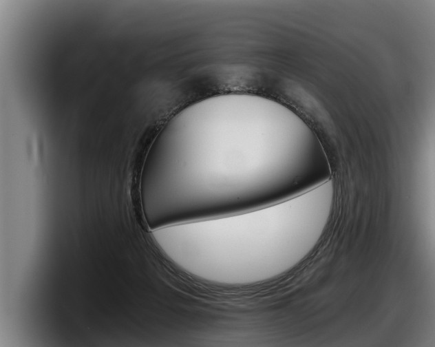 X0000098140217200804171127