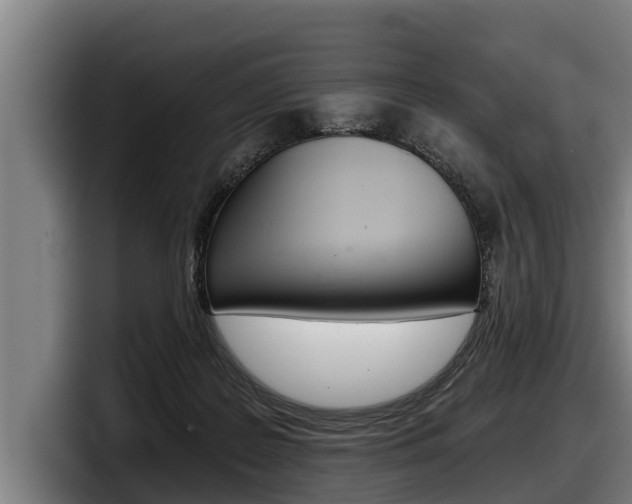 X0000098140219200804171127