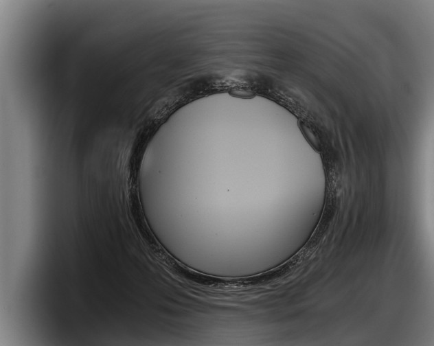 X0000098140223200804171127