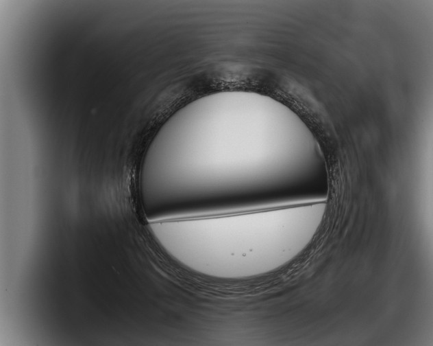 X0000098140225200804171127