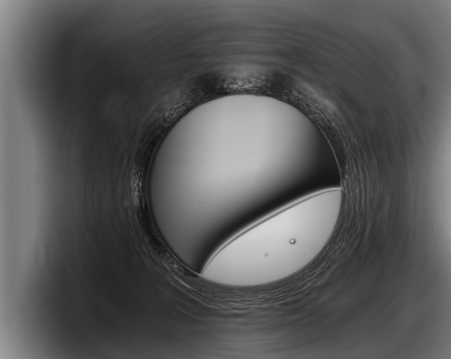 X0000098140227200804171127