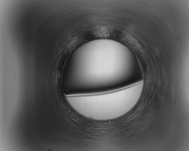 X0000098140229200804171127