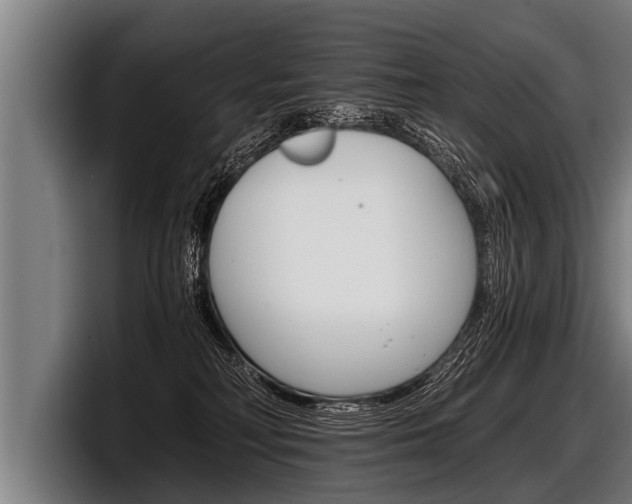 X0000098140230200804171127