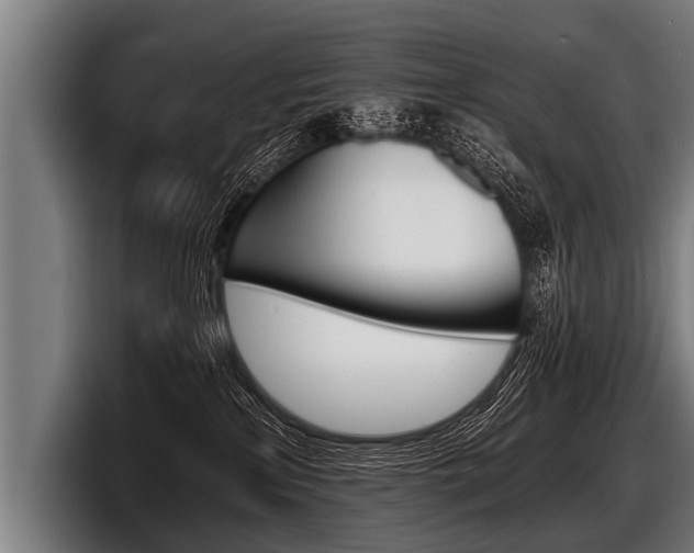 X0000098140233200804171127