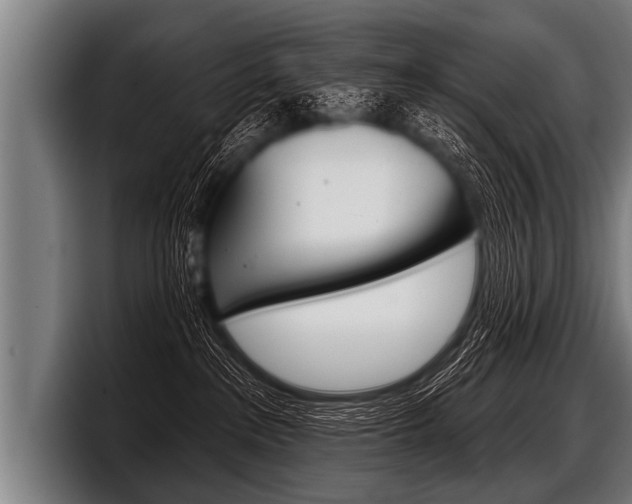 X0000098140237200804171127