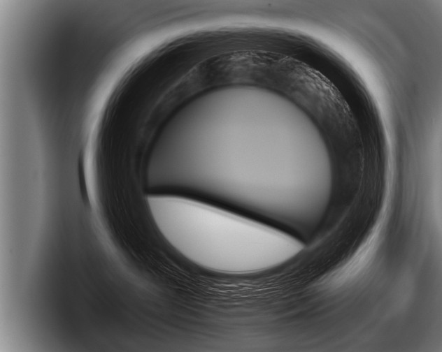 X0000098140239200804171127