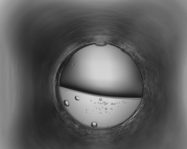 X0000098140242200804171126