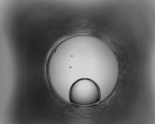 X0000098140244200804171126
