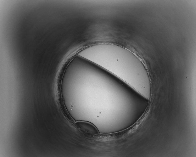 X0000098140245200804171126