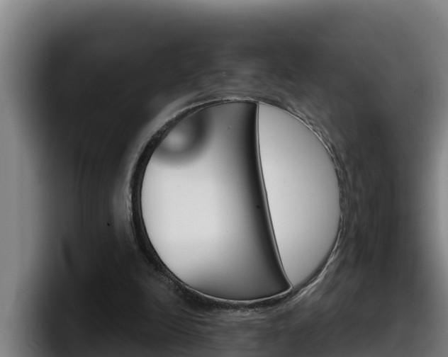 X0000098140246200804171126