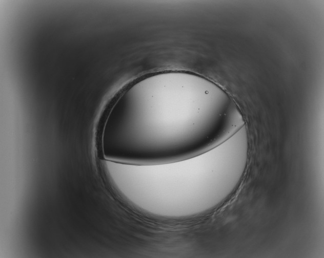 X0000098140248200804171126