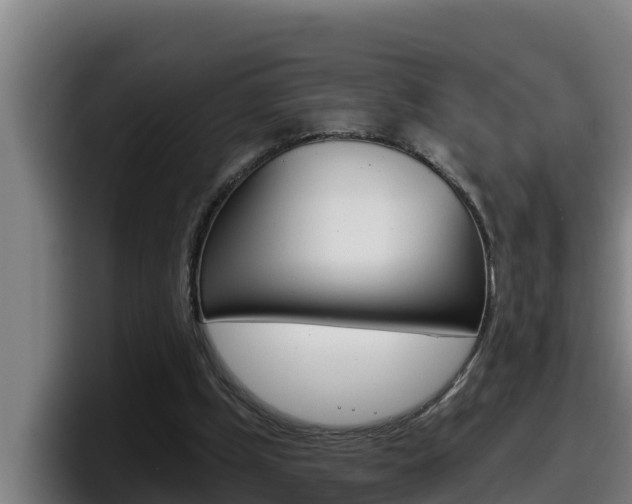 X0000098140249200804171126