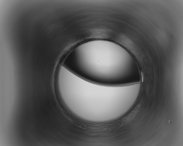 X0000098140252200804171126