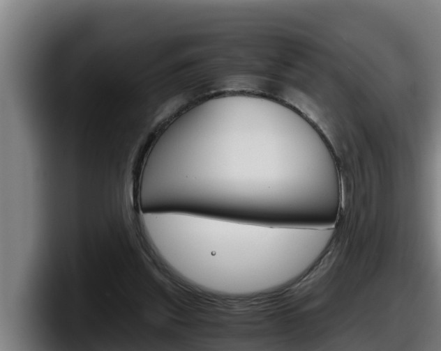 X0000098140253200804171126