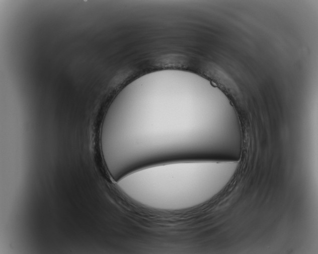 X0000098140255200804171126