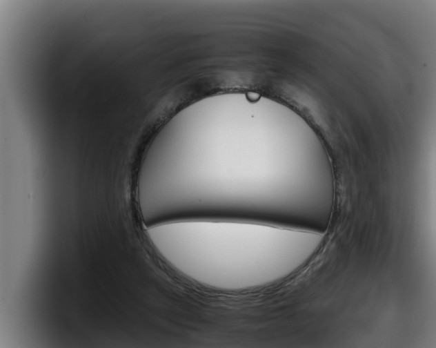 X0000098140257200804171127