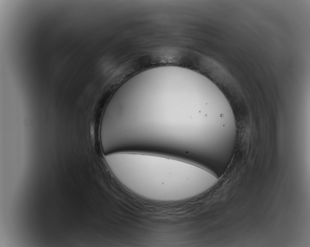 X0000098140262200804171127