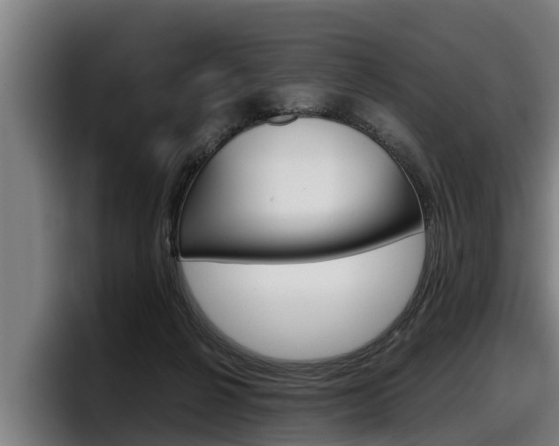 X0000098140264200804171127