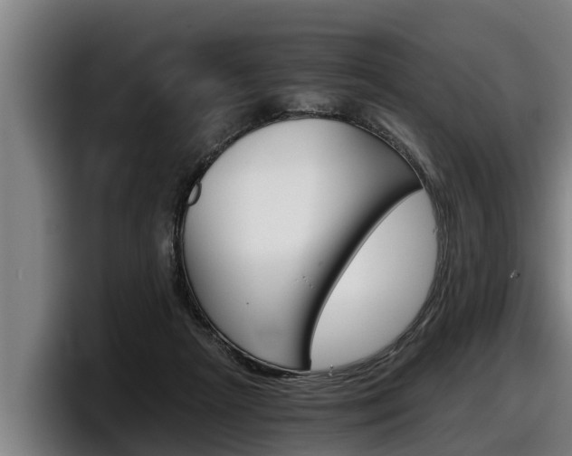X0000098140265200804171127