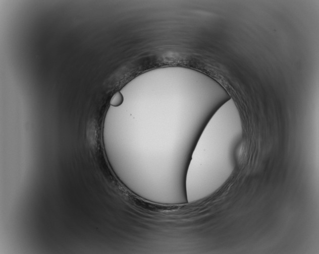 X0000098140266200804171127