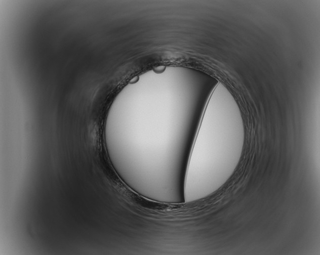 X0000098140270200804171127