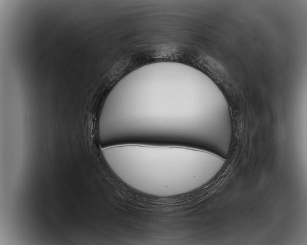X0000098140273200804171127