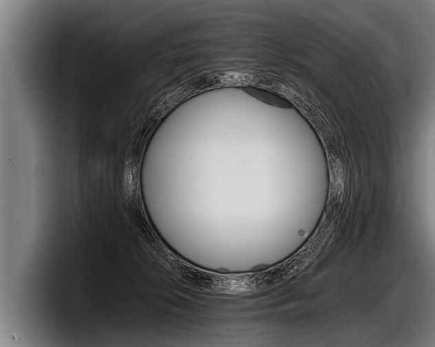X0000098140276200804171127
