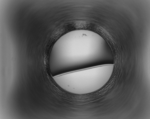 X0000098140277200804171127