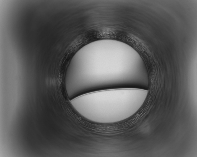 X0000098140278200804171127