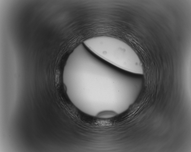 X0000098140283200804171127