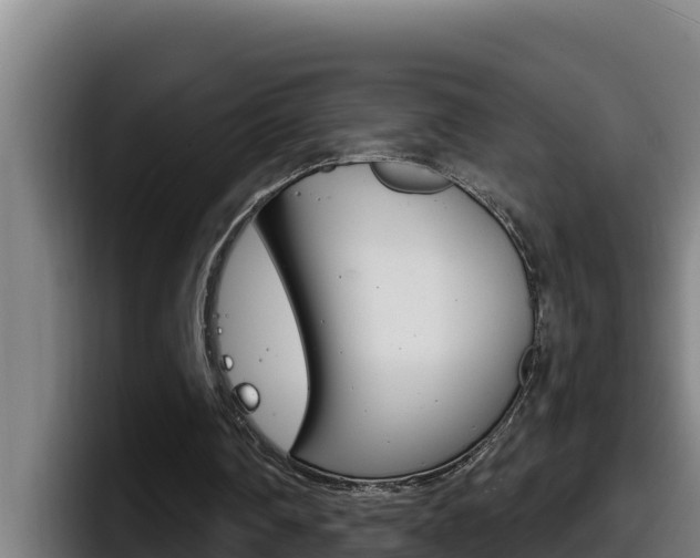 X0000098140290200804171126