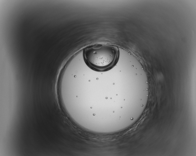 X0000098140292200804171126