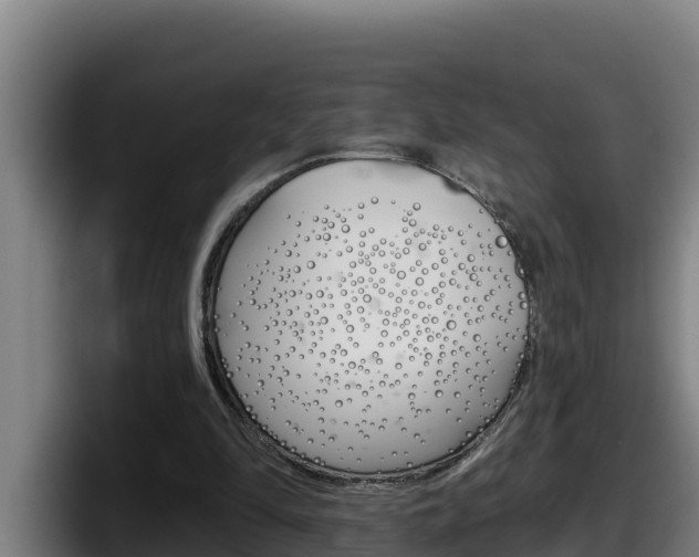X0000098140294200804171126