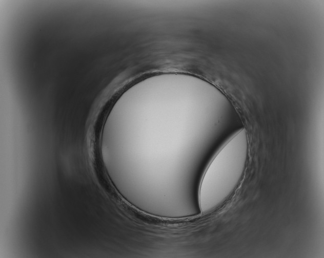 X0000098140295200804171126