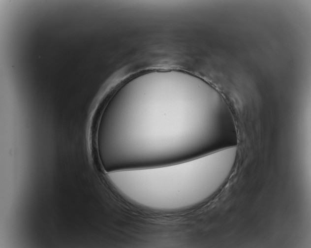 X0000098140296200804171126