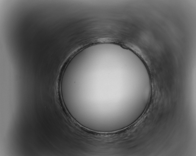 X0000098140297200804171126