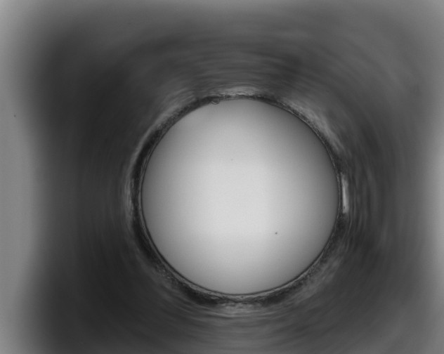 X0000098140300200804171126