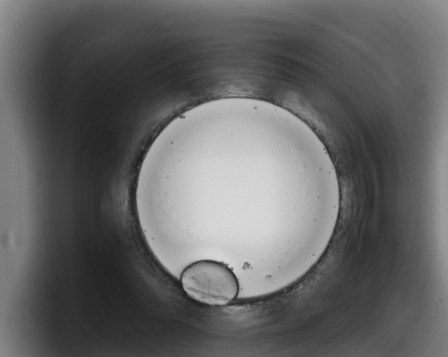 X0000098140302200804171126