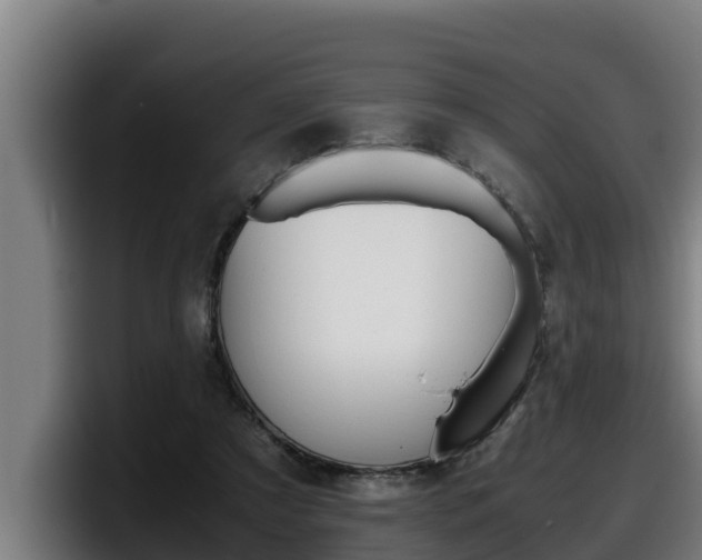 X0000098140305200804171126