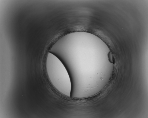 X0000098140306200804171126