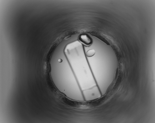 X0000098140308200804171126