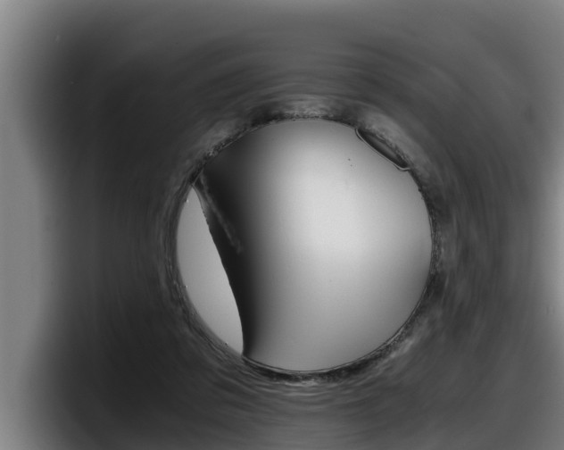 X0000098140309200804171126