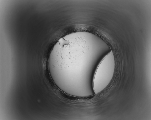 X0000098140315200804171126