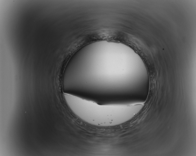 X0000098140317200804171126
