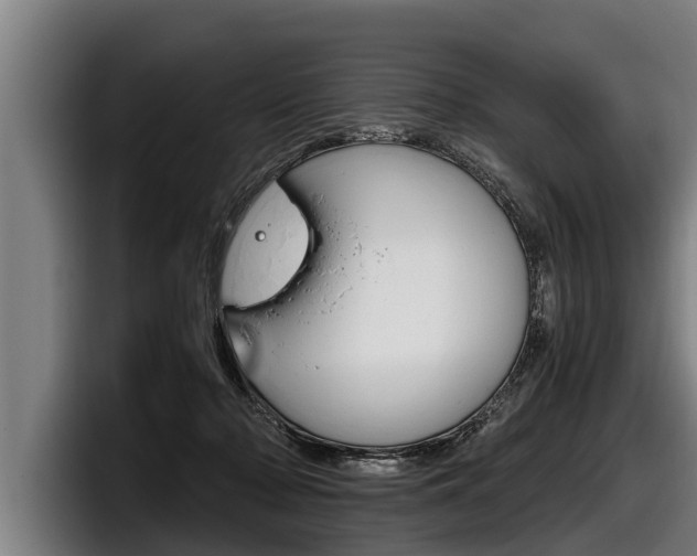 X0000098140318200804171126
